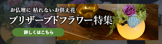 枯れないお花 プリザーブドフラワー特集