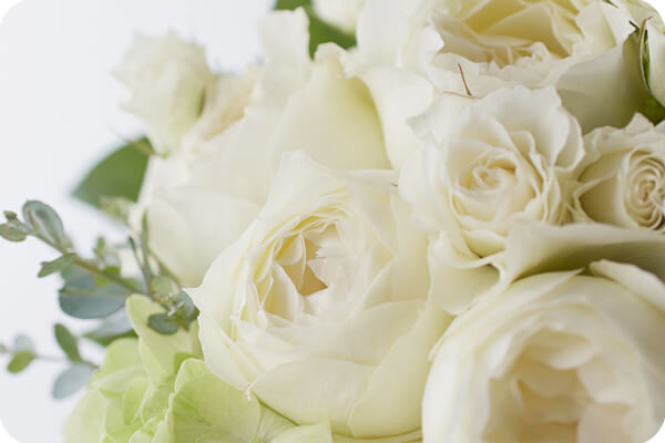 美しい新鮮な花たち