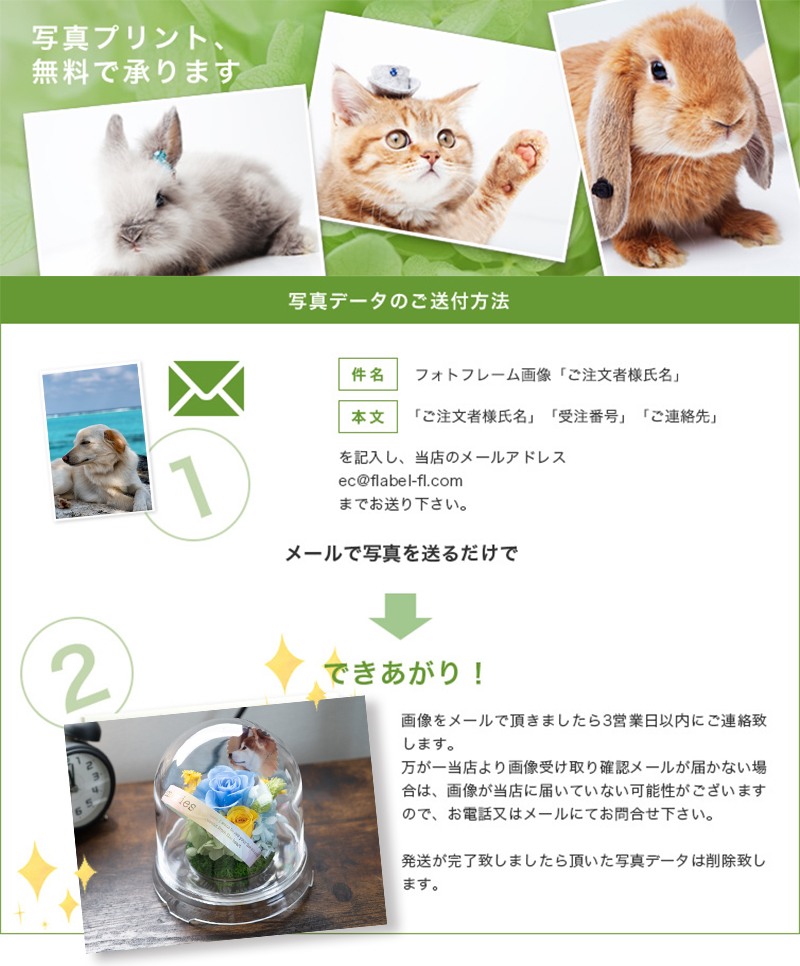 写真プリント無料