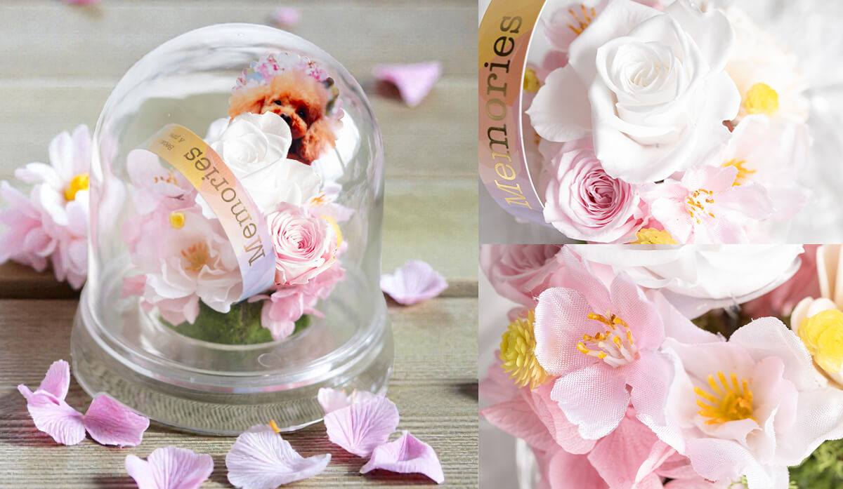 さくらver イメージ画像