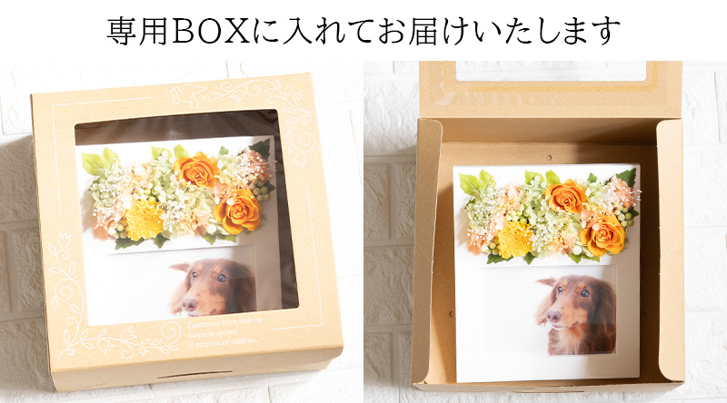 専用ボックスに入れてお届け