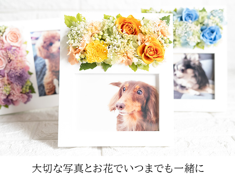 お供え写真立て