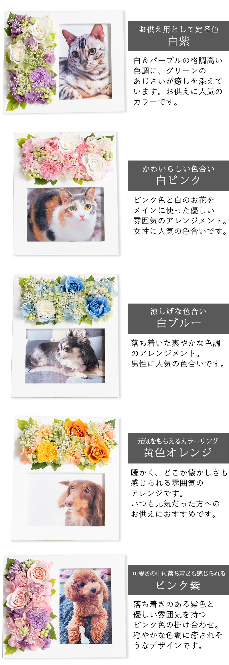 カラーバリエーション