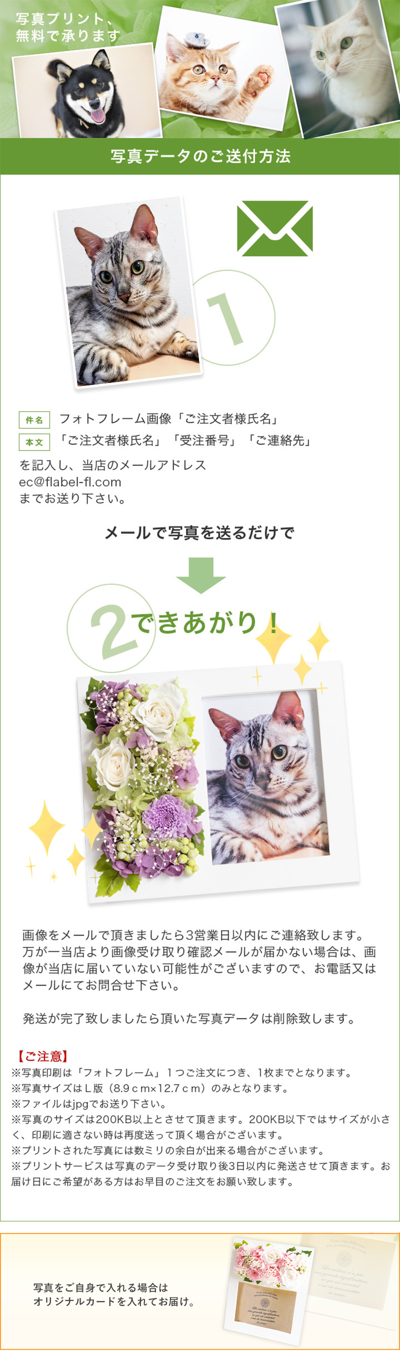 サイズ 写真送付案内