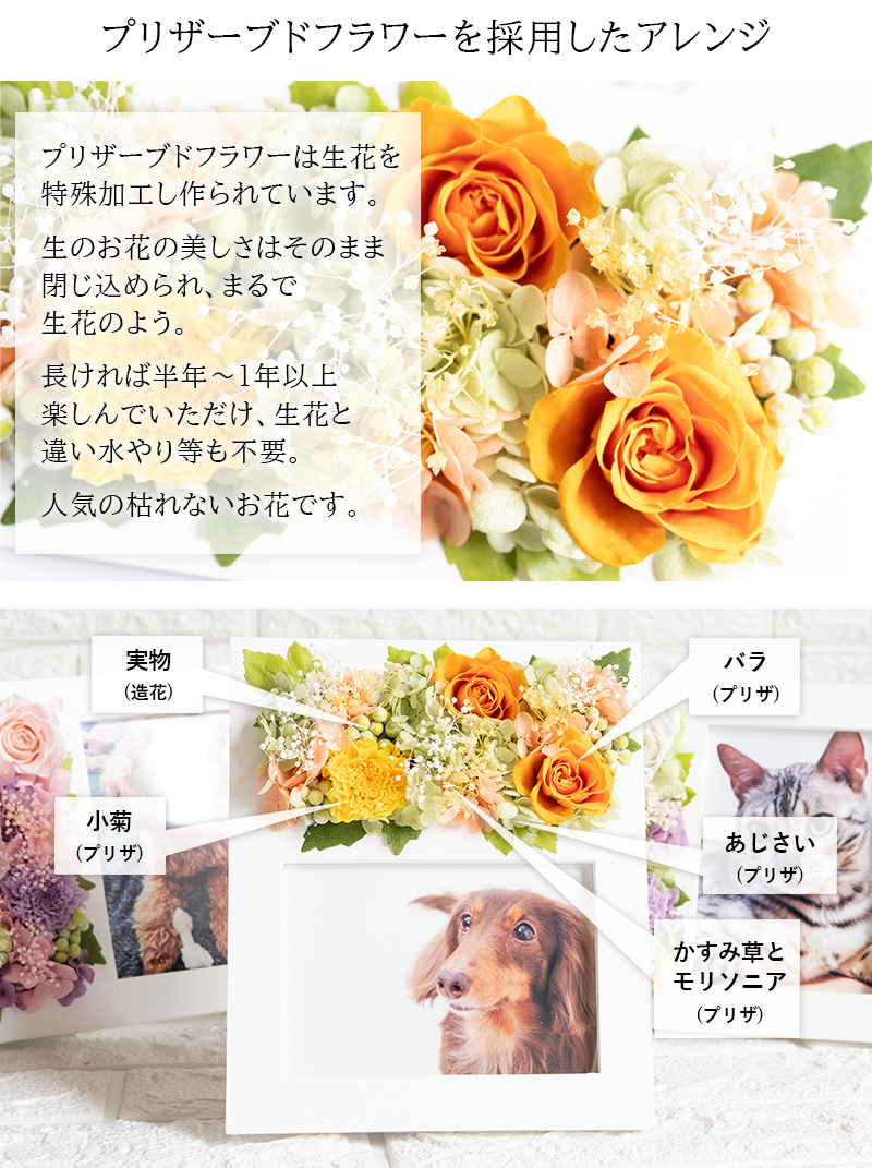 プリザーブドフラワーを採用