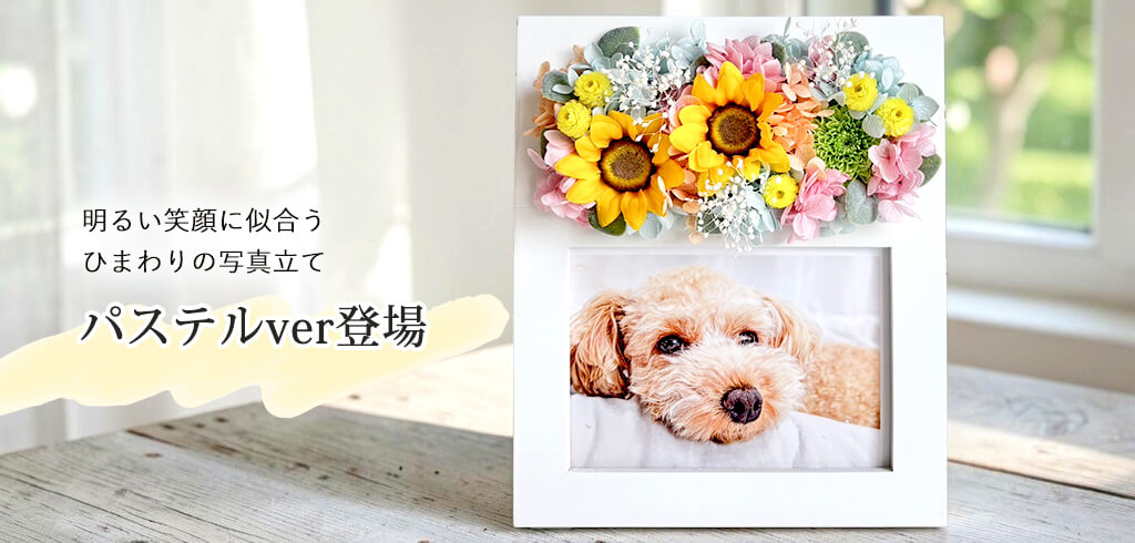 新商品