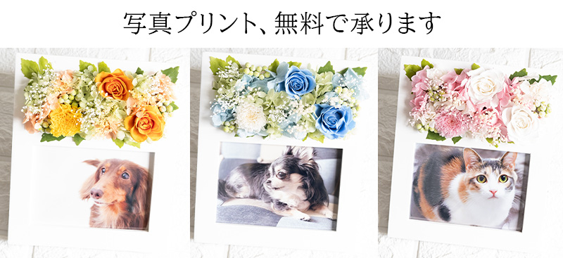 写真プリント 無料で承ります