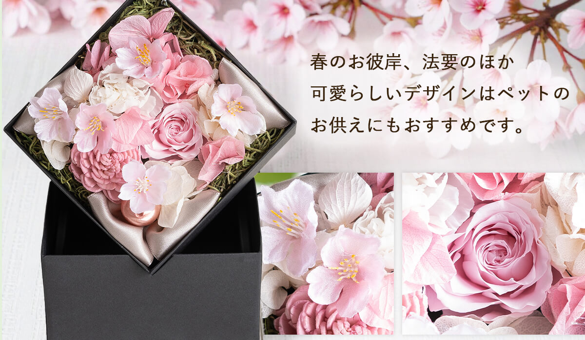 さくらver イメージ画像