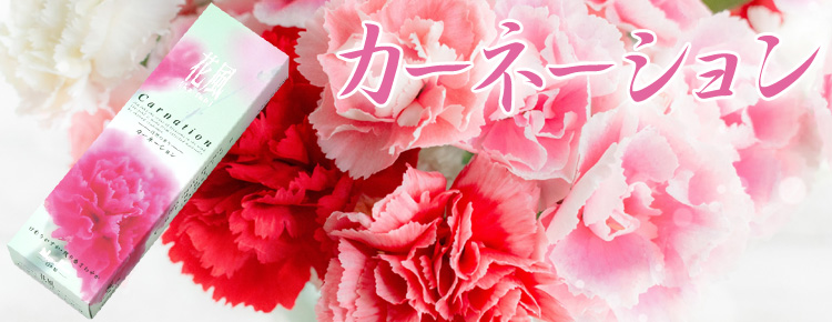 カーネーションの香り