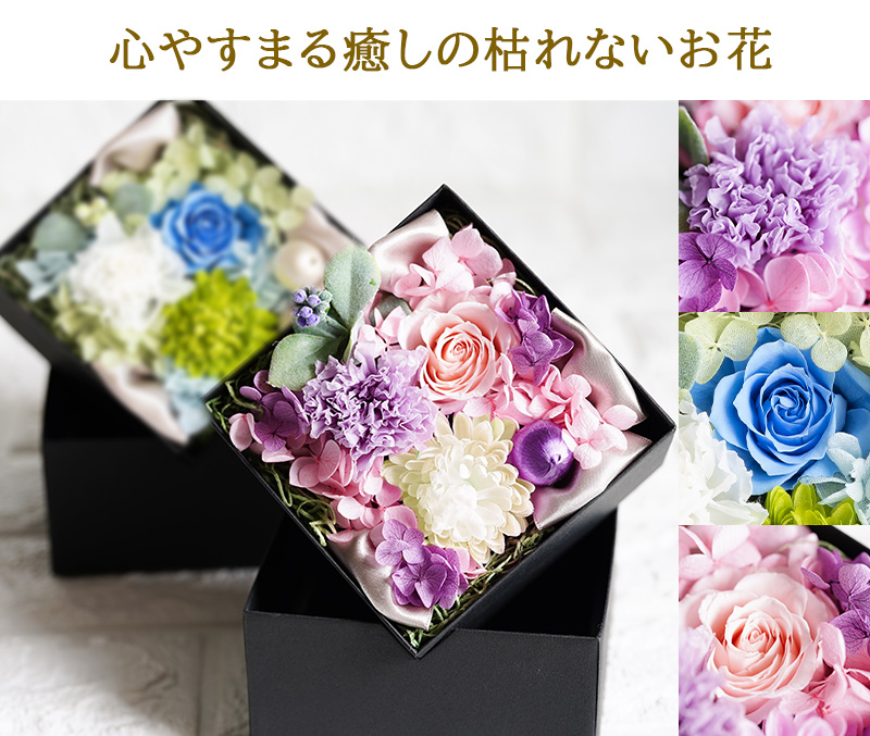 心やすまる癒しの枯れないお花