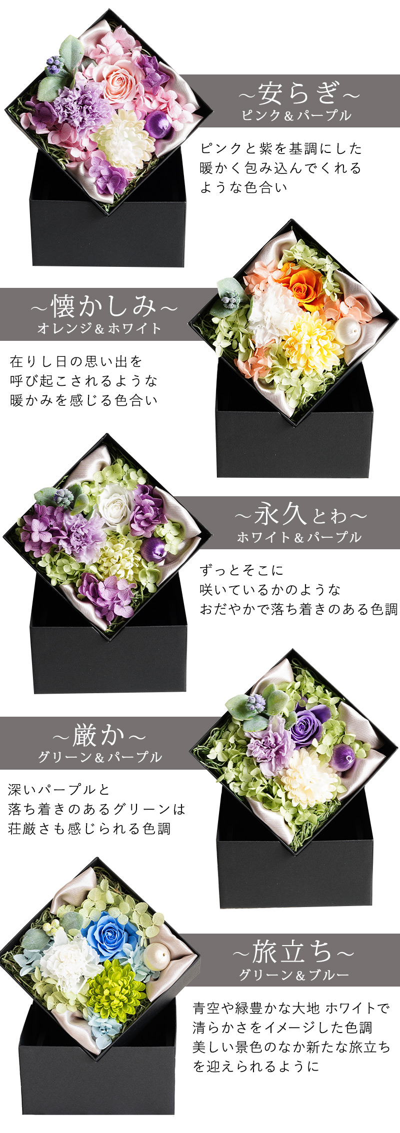 カラーバリエーション