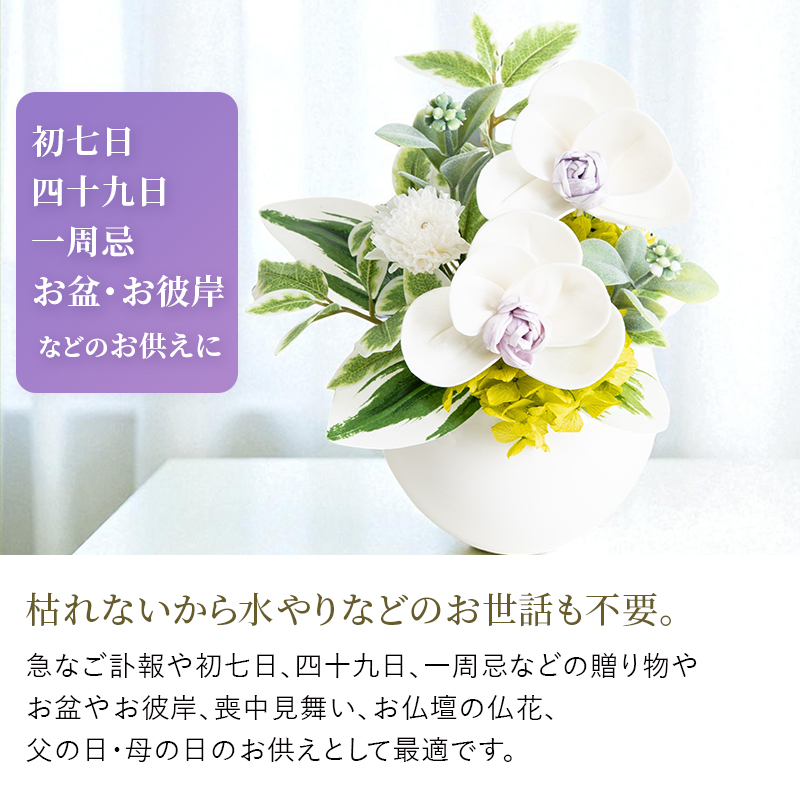 おすすめのシーン