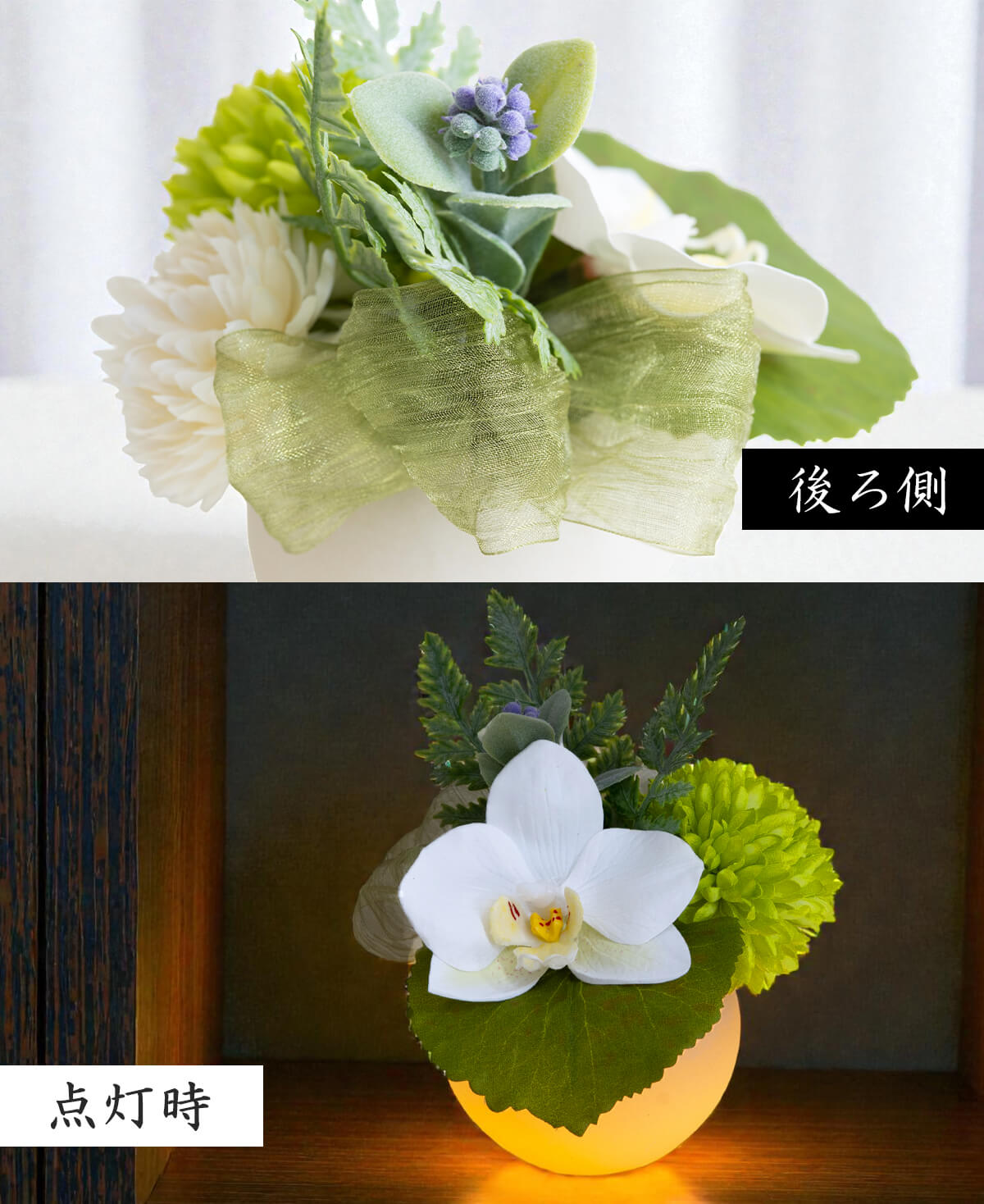 グリーン系 イメージ