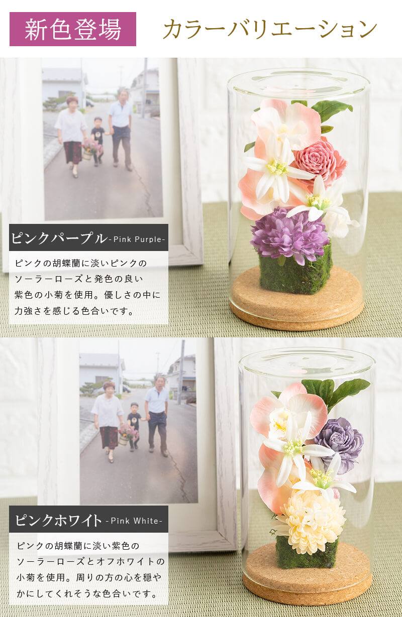 カラーバリエーション