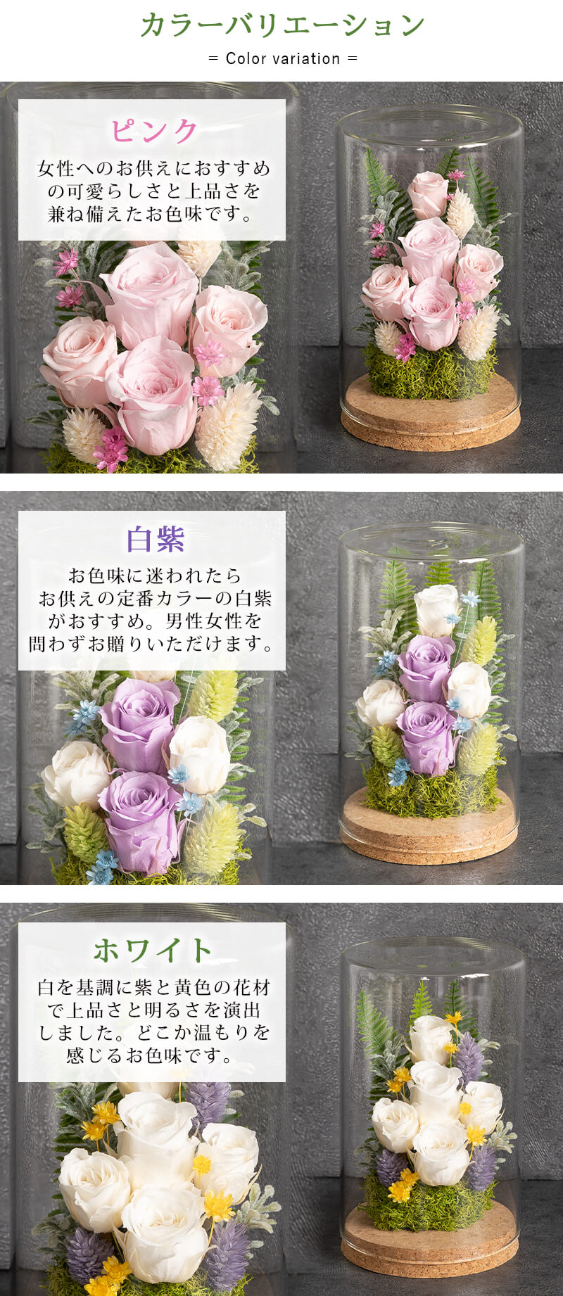 カラーバリエーション