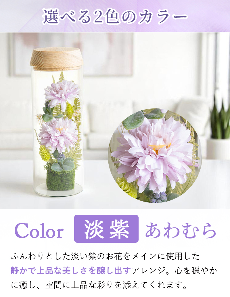 カラーバリエーション 淡紫