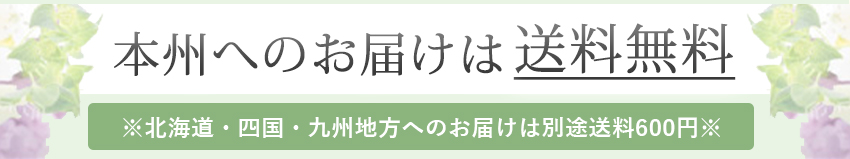 本州でのお届けは送料無料