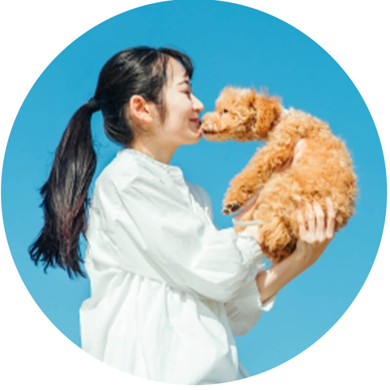 大切な思い出をイメージさせる画像