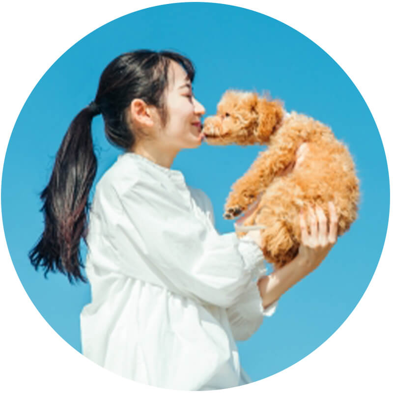大切な思い出をイメージさせる画像